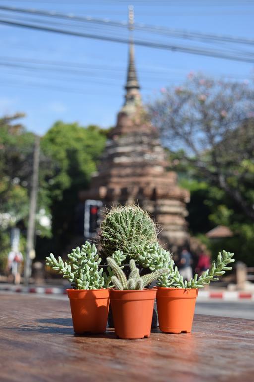 See You Soon, Chiang Mai Exterior foto